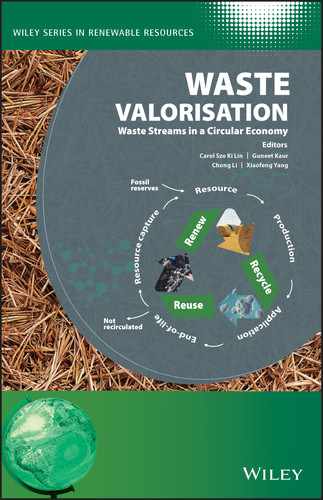  9 Life cycle Approaches for Evaluating Textile Biovalorisation Processes: Sustainable Decision‐making in a Circular Economy