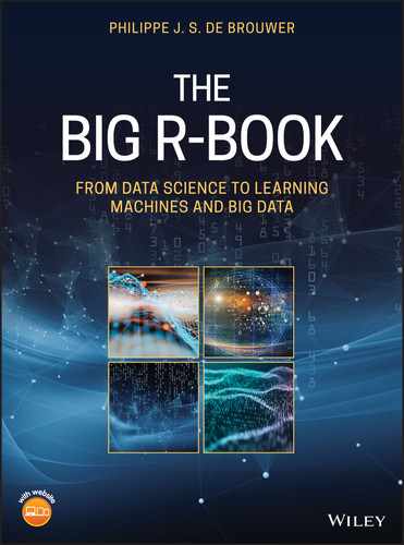 The Big R-Book 