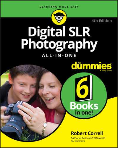 Digital SLR Photography All-in-One For Dummies, 4th Edition 