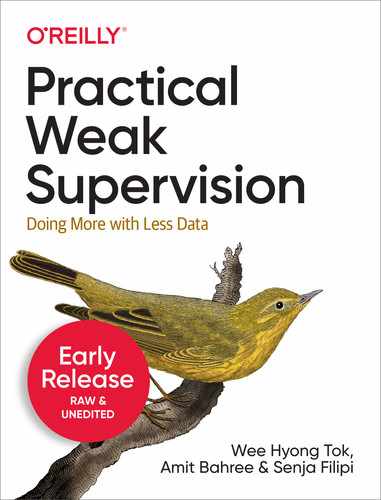  1. Introduction to Weak Supervision