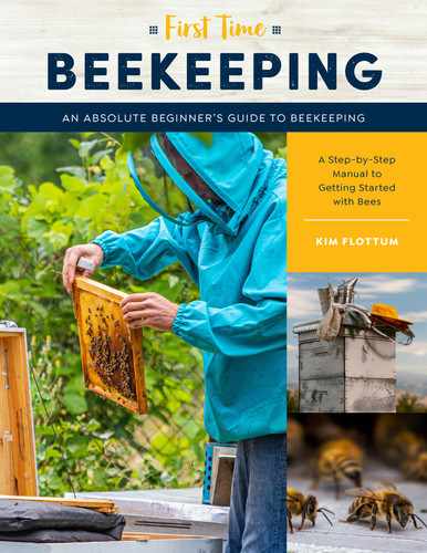  3 About Beekeeping