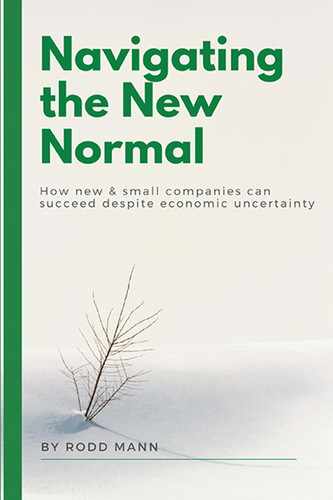 Cover image for Navigating the New Normal