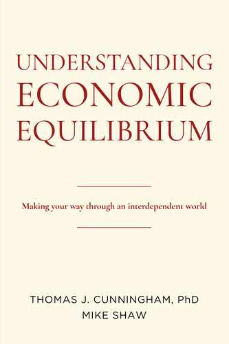 Understanding Economic Equilibrium 
