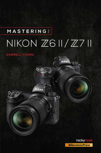 Cover image for Mastering the Nikon Z6 II / Z7 II