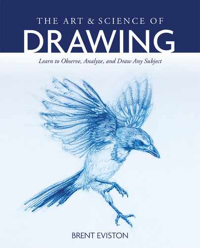 Cover image for The Art and Science of Drawing