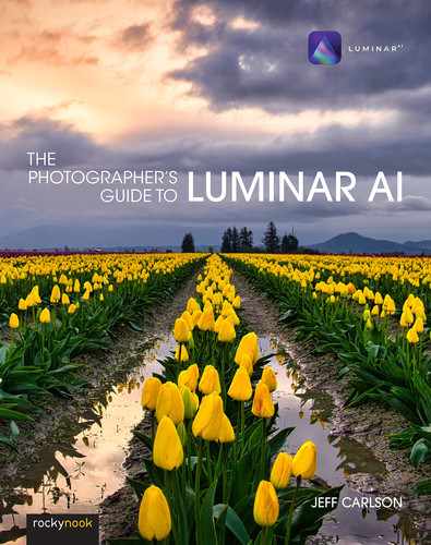 The Photographer's Guide to Luminar AI 
