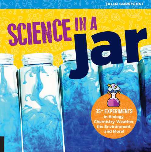 Cover image for Science in a Jar