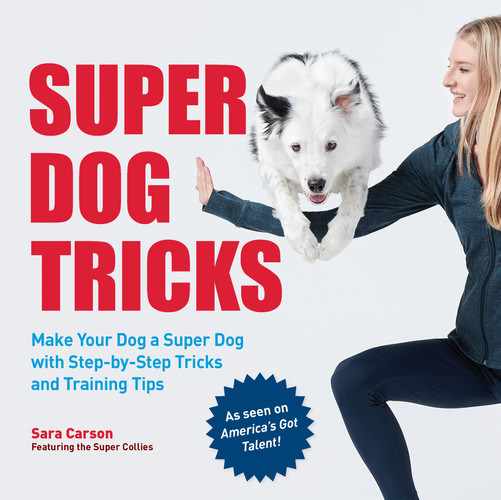 Super Dog Tricks by Sara Carson