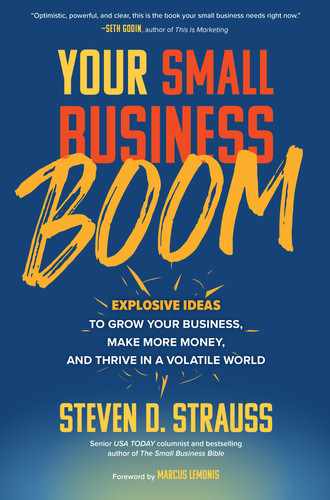 Cover image for Your Small Business Boom: Explosive Ideas to Grow Your Business, Make More Money, and Thrive in a Volatile World