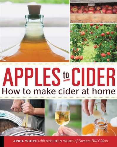 Cover image for Apples to Cider