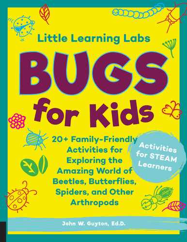 Cover image for Little Learning Labs: Bugs for Kids, abridged edition