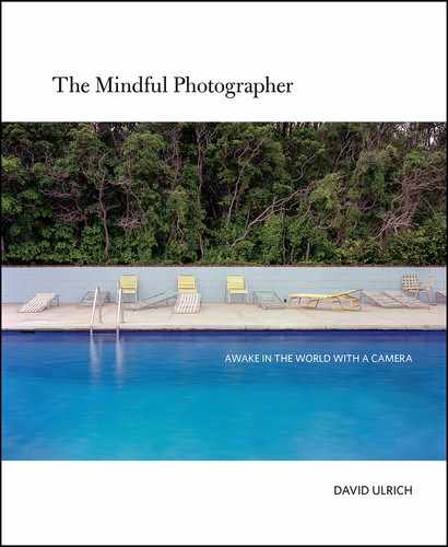 Cover image for The Mindful Photographer