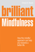 Brilliant Mindfulness 