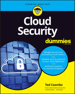 Cover image for Cloud Security For Dummies