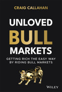 Cover image for Unloved Bull Markets