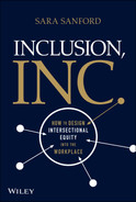 Cover image for Inclusion, Inc.