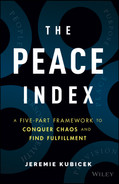 Cover image for The Peace Index