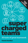  13 Using Supercharged Teams and the 30 tools in your team