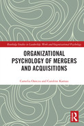 Organizational Psychology of Mergers and Acquisitions 