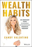 Cover image for Wealth Habits