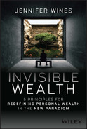 Cover image for Invisible Wealth