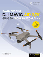 Cover image for David Busch's DJI Mavic Air 2/2S Guide to Drone Photography