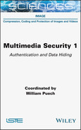Cover image for Multimedia Security, Volume 1