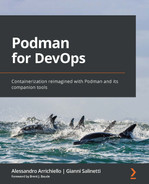 Cover image for Podman for DevOps