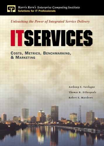 IT Services: Costs, Metrics, Benchmarking, and Marketing 