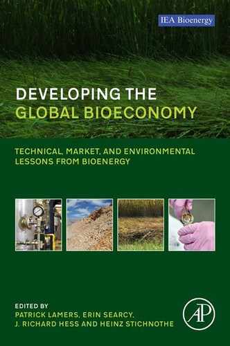 Developing the Global Bioeconomy by Heinz Stichnothe, J. Richard Hess, Erin Searcy, Patrick Lamers