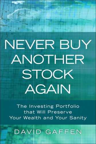 Cover image for Never Buy Another Stock Again: The Investing Portfolio that Will Preserve Your Wealth and Your Sanity