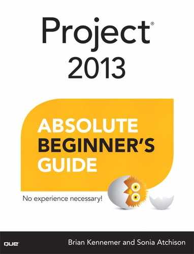 Project® 2013 Absolute Beginner’s Guide 