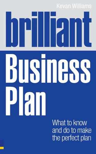 Brilliant Business Plan 