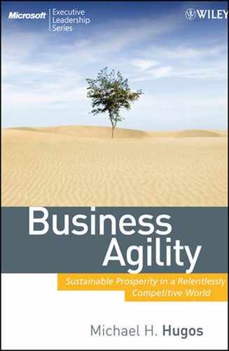 Business Agility: Sustainable Prosperity in a Relentlessly Competitive World 