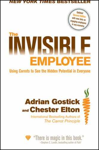The Invisible Employee: Using Carrots to See the Hidden Potential in Everyone, Second Edition 