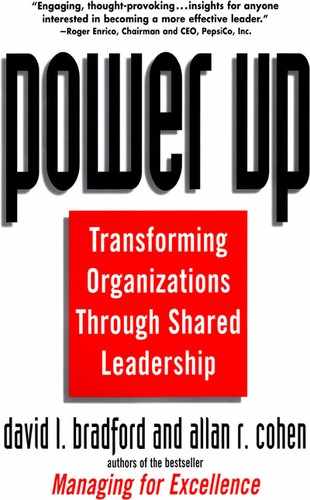 Power Up: Transforming Organizations Through Shared Leadership 