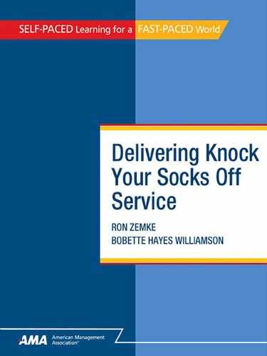 Cover image for Delivering Knock Your Socks Off Service