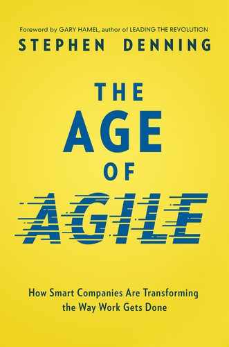 Cover image for The Age of Agile