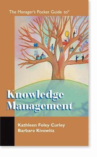 The Manager's Pocket Guide to Knowledge Management 