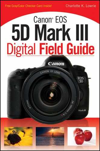 Cover image for Canon EOS 5D Mark III Digital Field Guide
