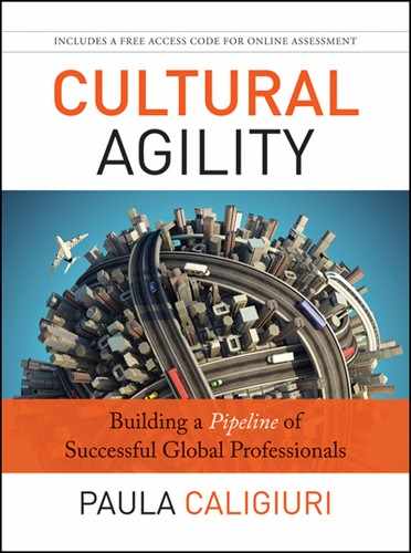 Chapter 3: Nine Cross-Cultural Competencies Affecting Success Of Culturally Agile Professionals