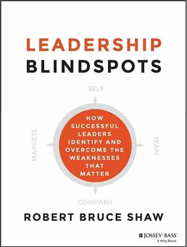 Leadership Blindspots: How Successful Leaders Identify and Overcome the Weaknesses That Matter 