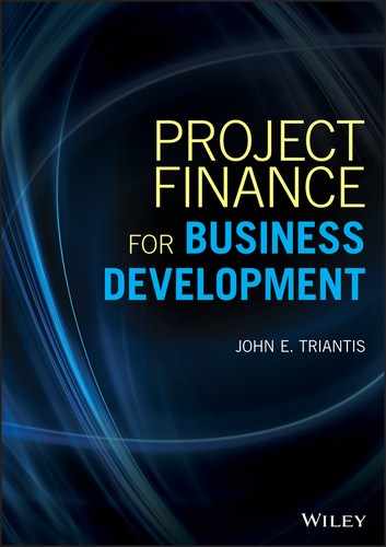 Cover image for Project Finance for Business Development