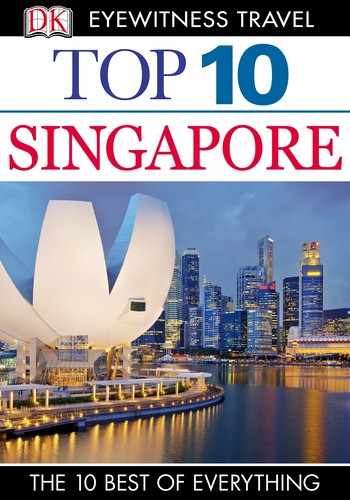 Cover image for Top 10 Singapore