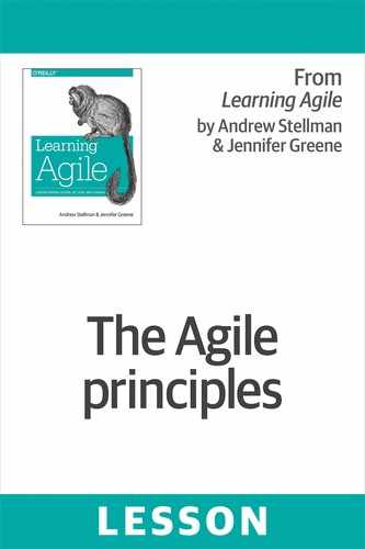 The Agile principles 