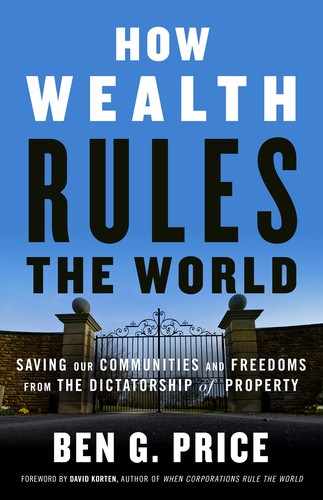Cover image for How Wealth Rules the World