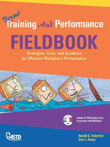 Beyond Training Ain't Performance Fieldbook 