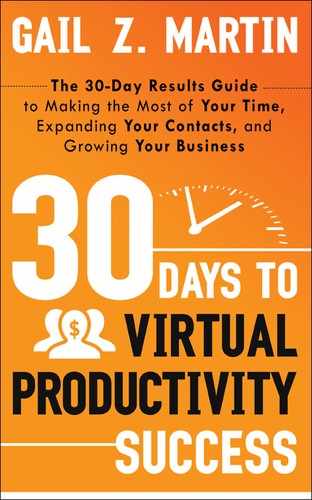 30 Days to Virtual Productivity Success 