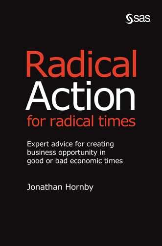 Radical Action for Radical Times: Expert Advice for Creating Business Opportunity in Good or Bad Economic Times 