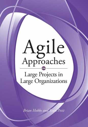 Cover image for Agile Approaches on Large Projects in Large Organizations